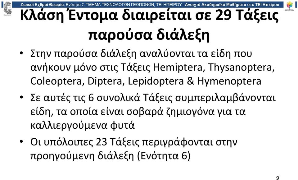 Hymenoptera Σε αυτές τις 6 συνολικά Τάξεις συμπεριλαμβάνονται είδη, τα οποία είναι σοβαρά