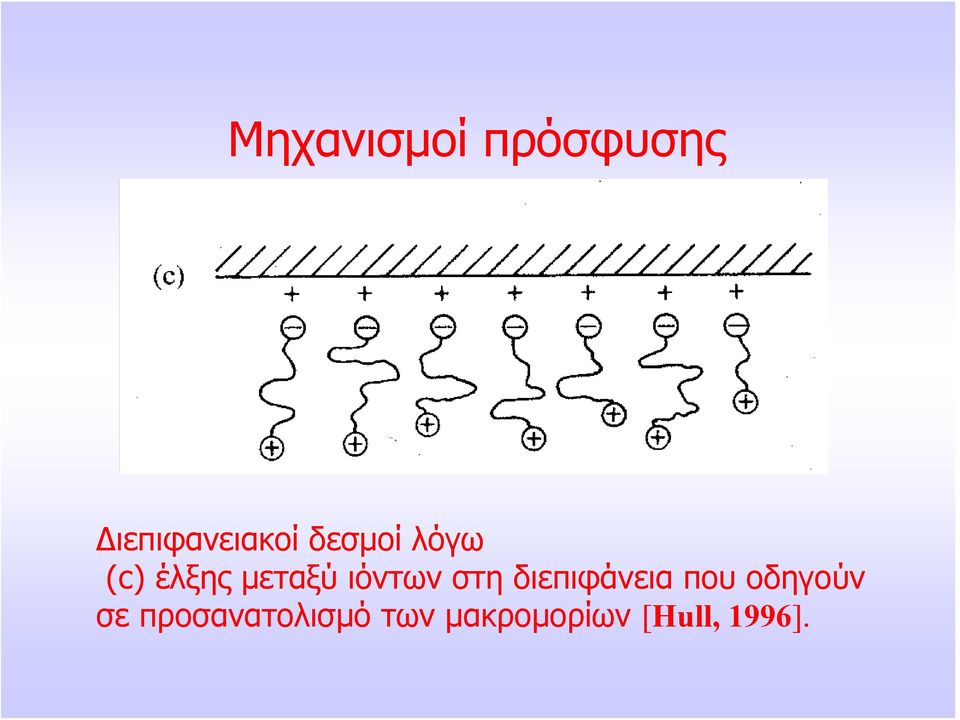 στη διεπιφάνεια που οδηγούν σε