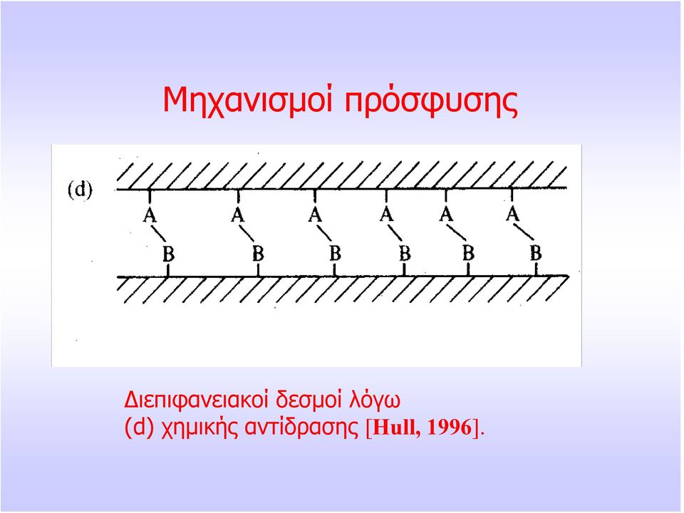 δεσμοί λόγω (d)