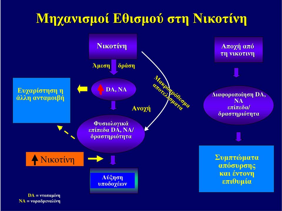 Μακροπρόθεσμα αποτελεσματα αποτελεσματα Διαφοροποίηση DA, NA επίπεδα/ δραστηριότητα