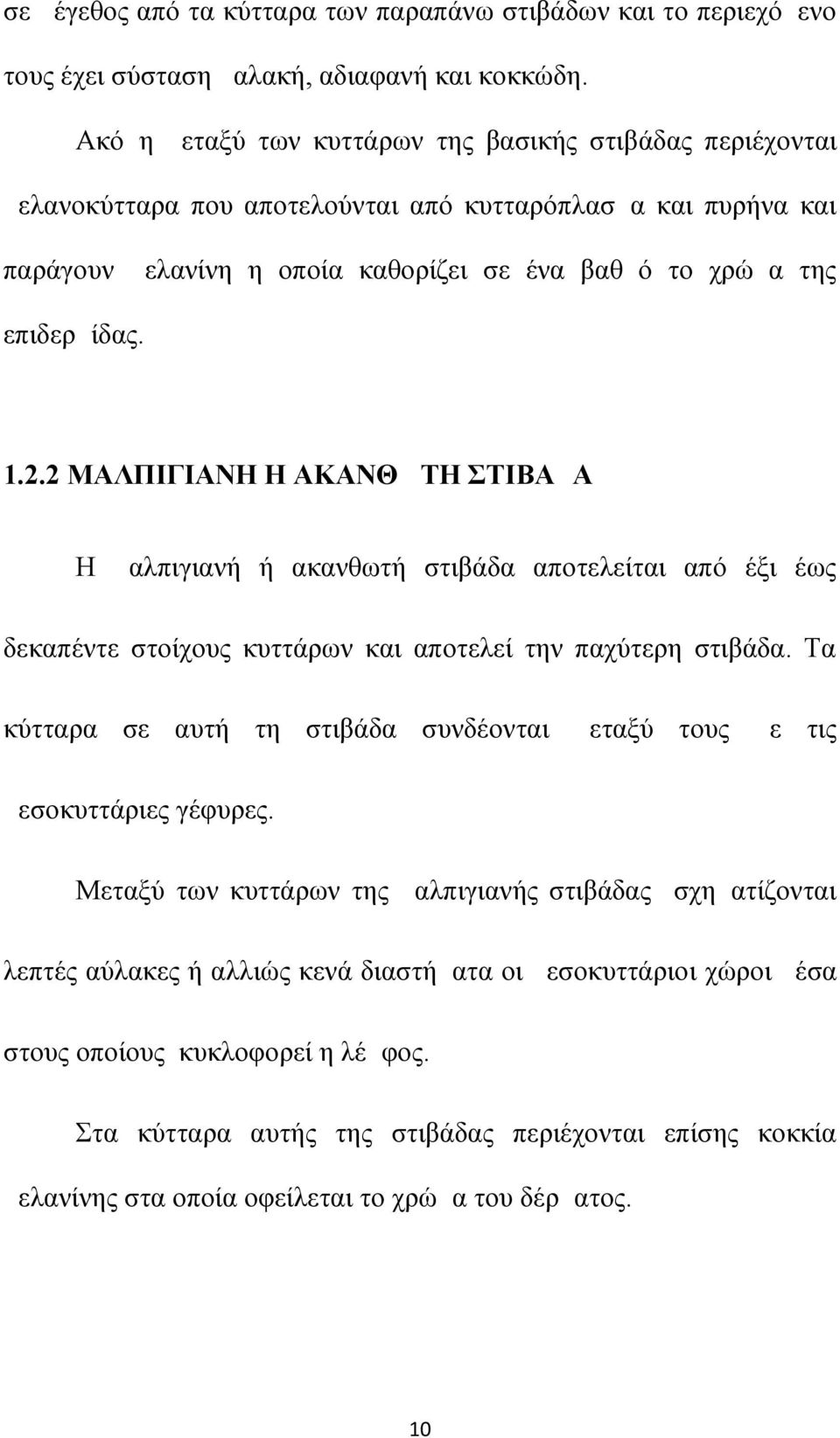 2.2 ΜΑΛΠΙΓΙΑΝΗ Η ΑΚΑΝΘΩΤΗ ΣΤΙΒΑΔΑ Η μαλπιγιανή ή ακανθωτή στιβάδα αποτελείται από έξι έως δεκαπέντε στοίχους κυττάρων και αποτελεί την παχύτερη στιβάδα.