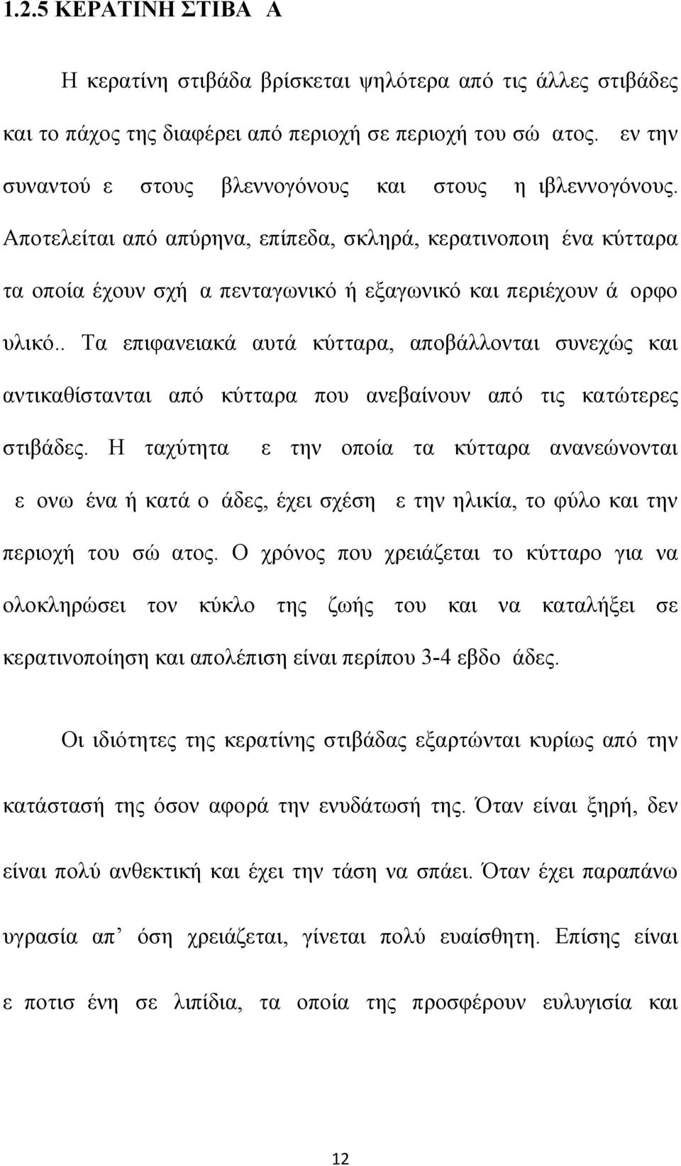 Αποτελείται από απύρηνα, επίπεδα, σκληρά, κερατινοποιημένα κύτταρα τα οποία έχουν σχήμα πενταγωνικό ή εξαγωνικό και περιέχουν άμορφο υλικό.