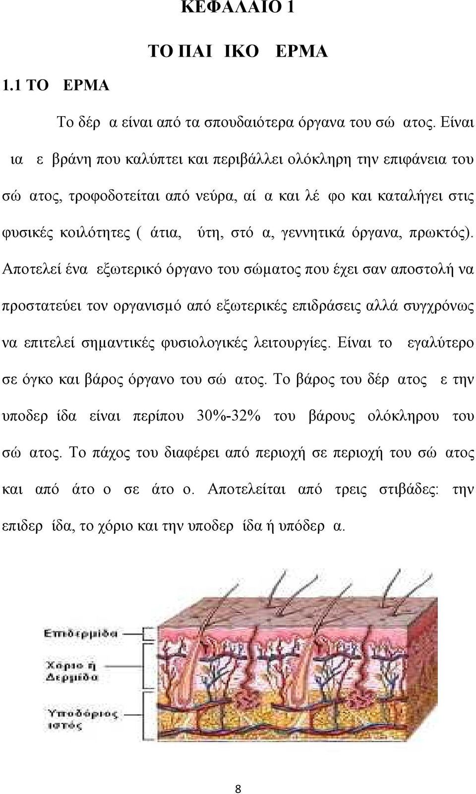 πρωκτός). Αποτελεί ένα εξωτερικό όργανο του σώµατος που έχει σαν αποστολή να προστατεύει τον οργανισµό από εξωτερικές επιδράσεις αλλά συγχρόνως να επιτελεί σηµαντικές φυσιολογικές λειτουργίες.