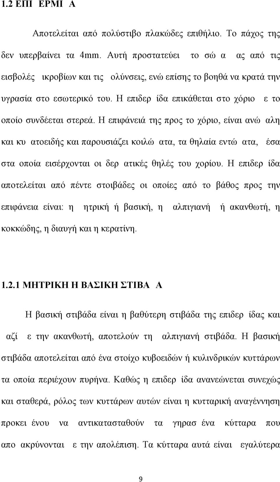 Η επιφάνειά της προς το χόριο, είναι ανώμαλη και κυματοειδής και παρουσιάζει κοιλώματα, τα θηλαία εντώματα, μέσα στα οποία εισέρχονται οι δερματικές θηλές του χορίου.