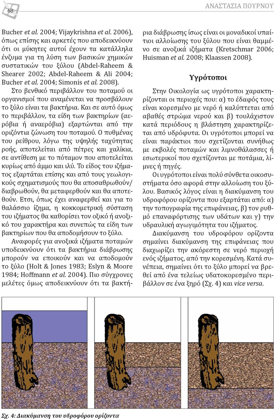 2004; Bucher et al. 2004; Simonis et al. 2008). Στο βενθικό περιβάλλον του ποταμού οι οργανισμοί που αναμένεται να προσβάλουν το ξύλο είναι τα βακτήρια.