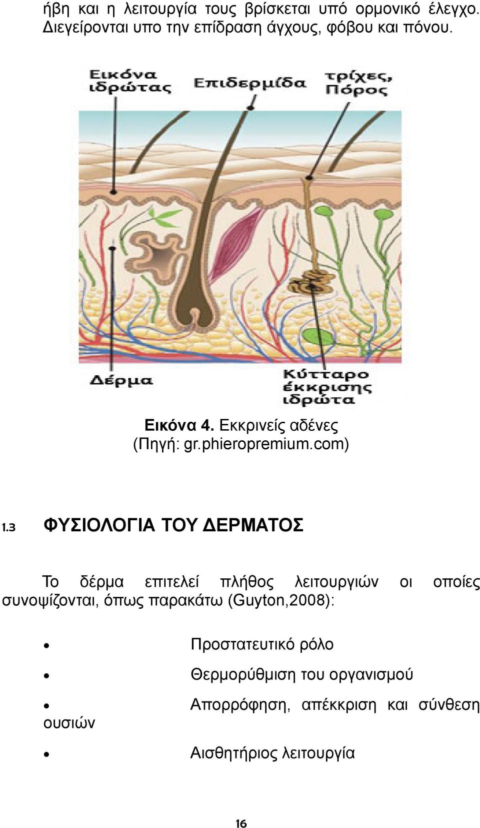 phieropremium.com) 1.