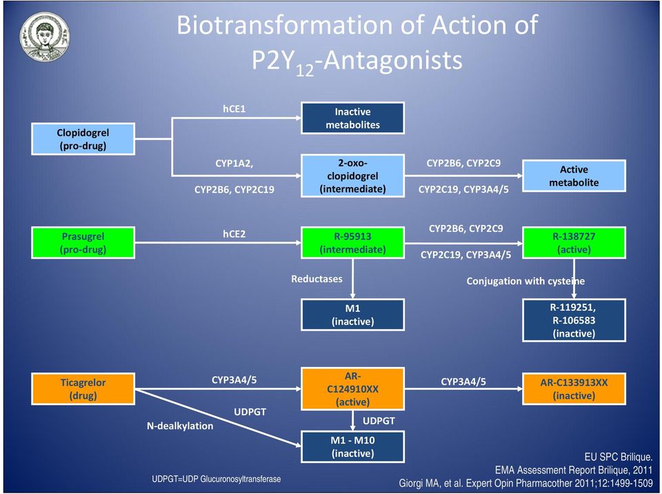 (inactive) Conjugation with cysteine R 119251, R 106583 (inactive) Ticagrelor (drug) CYP3A4/5 UDPGT N dealkylation UDPGT=UDP Glucuronosyltransferase AR C124910XX