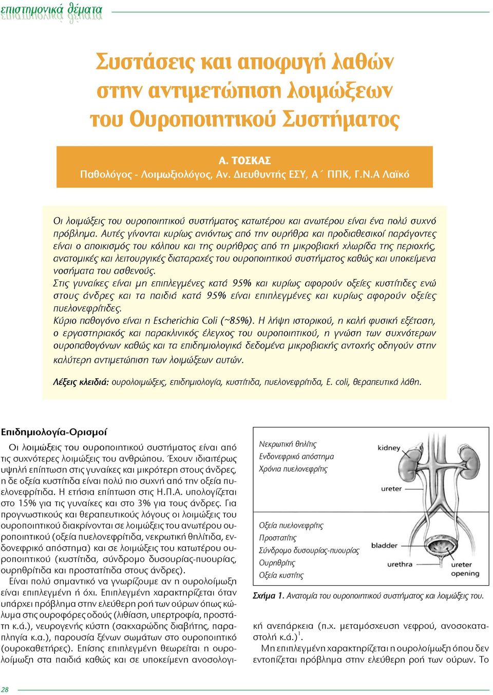 Αυτές γίνονται κυρίως ανιόντως από την ουρήθρα και προδιαθεσικοί παράγοντες είναι ο αποικισμός του κόλπου και της ουρήθρας από τη μικροβιακή χλωρίδα της περιοχής, ανατομικές και λειτουργικές