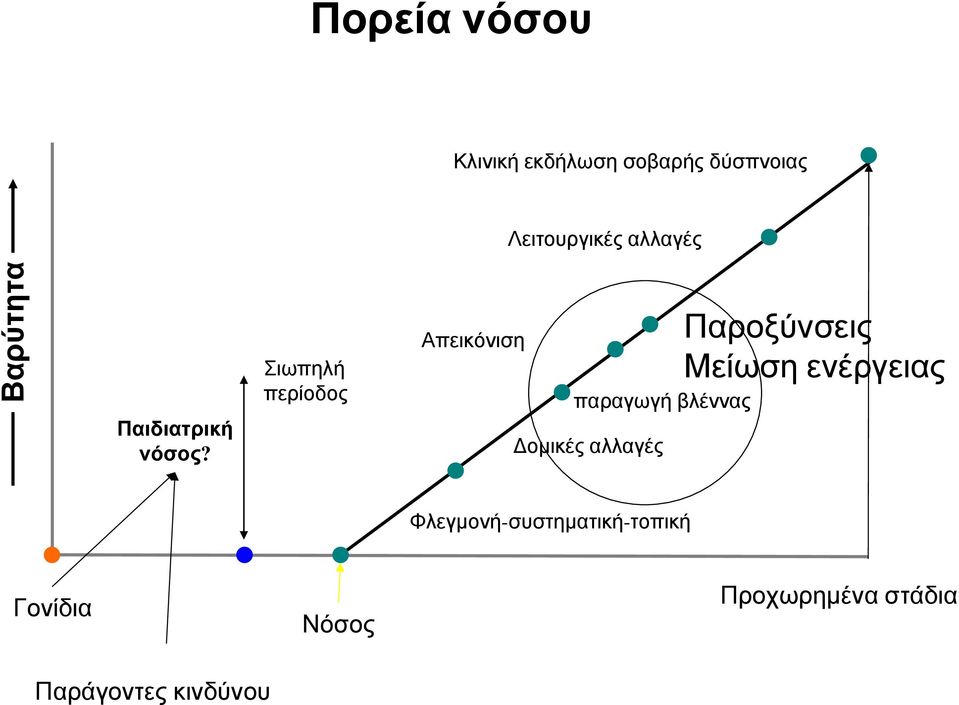 Σιωπηλή περίοδος Απεικόνιση παραγωγή βλέννας Δομικές αλλαγές