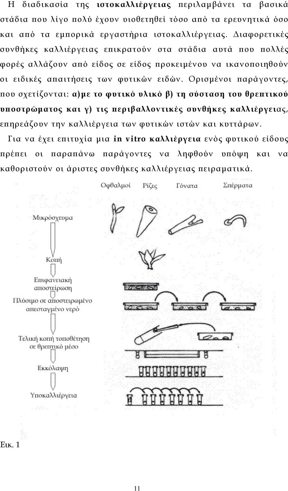 Ορισµένοι παράγοντες, που σχετίζονται: α)µε το φυτικό υλικό β) τη σύσταση του θρεπτικού υποστρώµατος και γ) τις περιβαλλοντικές συνθήκες καλλιέργειας, επηρεάζουν την καλλιέργεια των