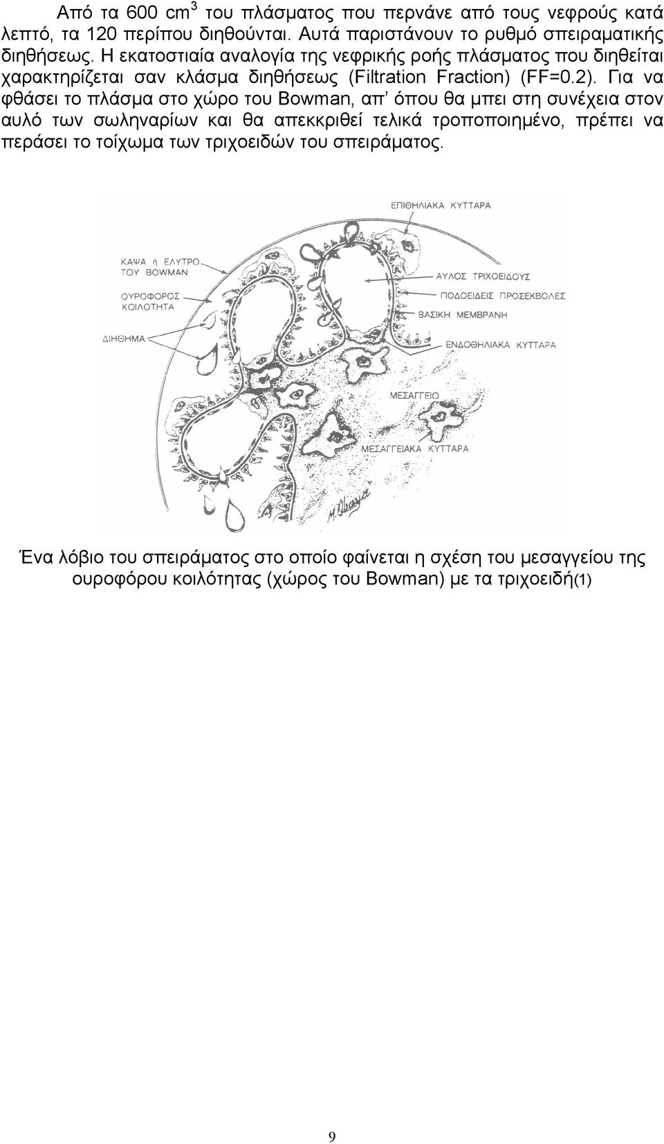 Για να φθάσει το πλάσµα στο χώρο του Bowman, απ όπου θα µπει στη συνέχεια στον αυλό των σωληναρίων και θα απεκκριθεί τελικά τροποποιηµένο, πρέπει να