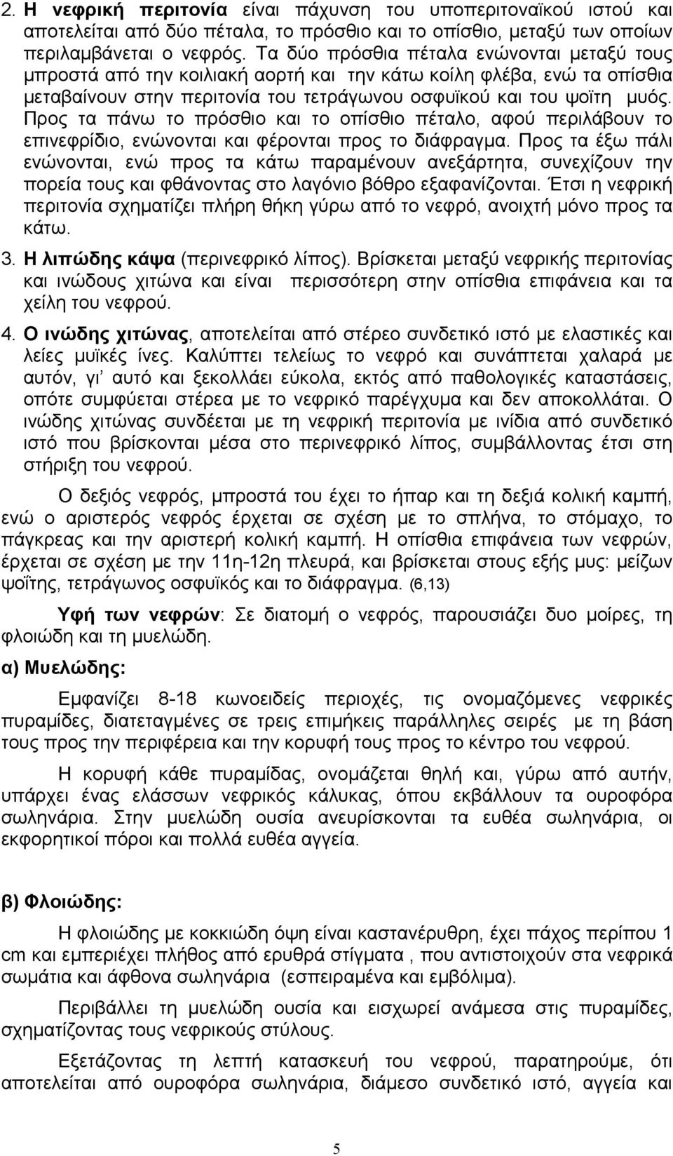 Προς τα πάνω το πρόσθιο και το οπίσθιο πέταλο, αφού περιλάβουν το επινεφρίδιο, ενώνονται και φέρονται προς το διάφραγµα.