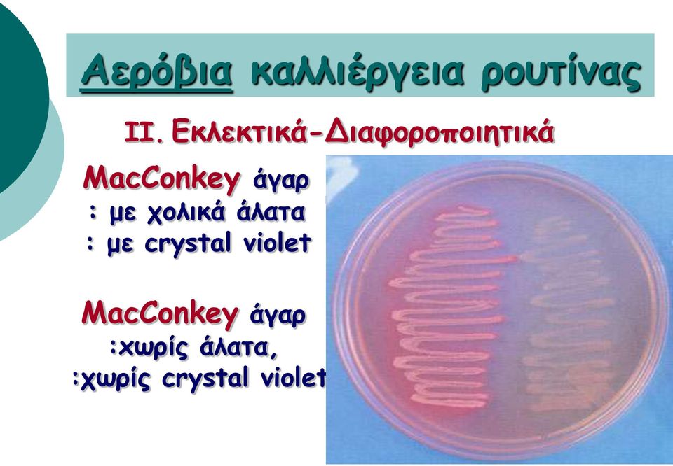 crystal violet gram (-) βακτηρίδια λακτόζη(+): ροζ αποικίες