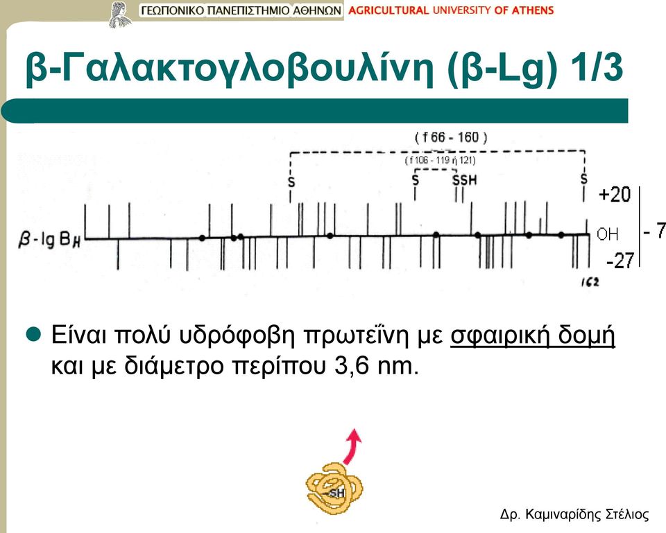 πρωτεΐνη με σφαιρική δομή