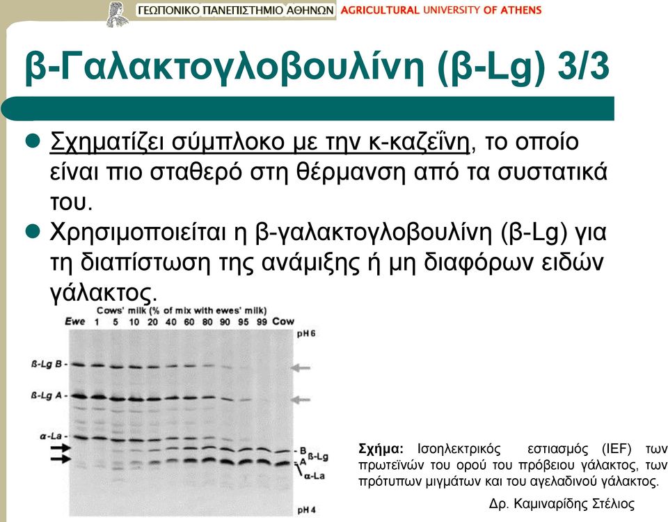 Χρησιμοποιείται η β-γαλακτογλοβουλίνη (β-lg) για τη διαπίστωση της ανάμιξης ή μη διαφόρων