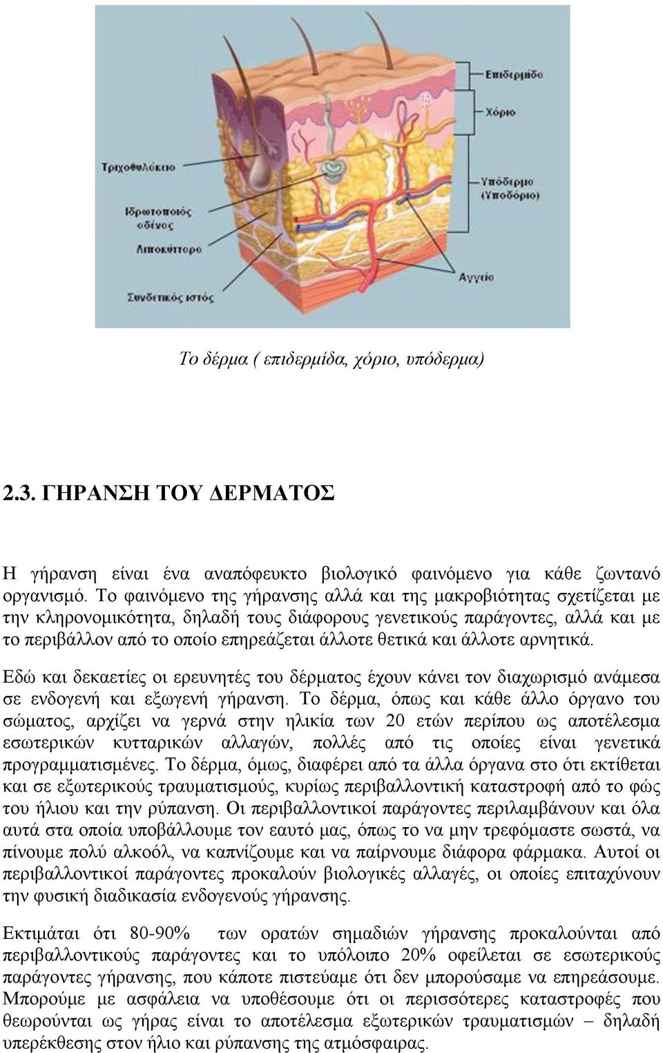 και άλλοτε αρνητικά. Εδώ και δεκαετίες οι ερευνητές του δέρματος έχουν κάνει τον διαχωρισμό ανάμεσα σε ενδογενή και εξωγενή γήρανση.