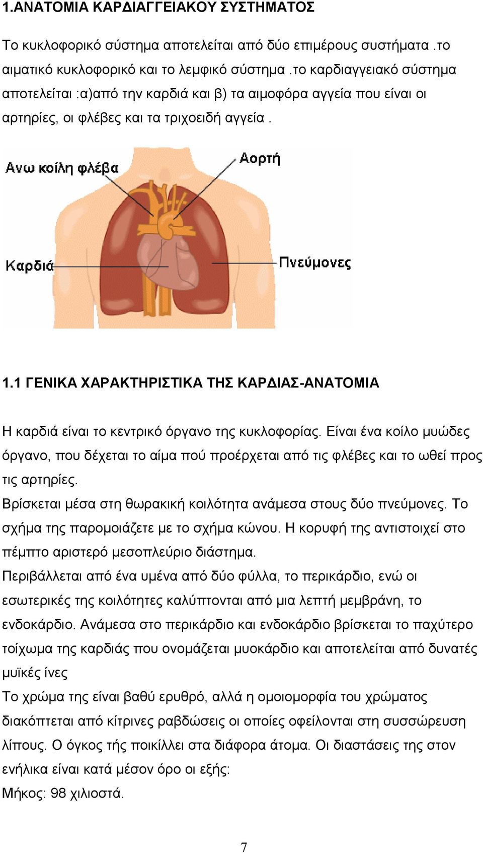 1 ΓΕΝΙΚΑ ΧΑΡΑΚΤΗΡΙΣΤΙΚΑ ΤΗΣ ΚΑΡ ΙΑΣ-ΑΝΑΤΟΜΙΑ Η καρδιά είναι το κεντρικό όργανο της κυκλοφορίας.