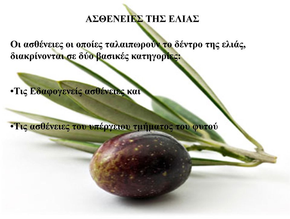 δύο βασικές κατηγορίες: Τις Εδαφογενείς