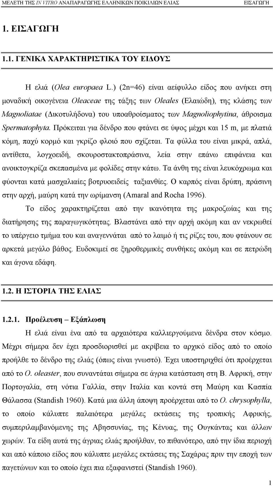 Spermatophyta. Πρόκειται για δένδρο που φτάνει σε ύψος µέχρι και 15 m, µε πλατιά κόµη, παχύ κορµό και γκρίζο φλοιό που σχίζεται.