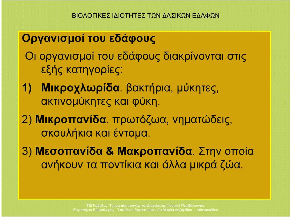 βακτήρια, μύκητες, ακτινομύκητες και φύκη. 2) Μικροπανίδα.
