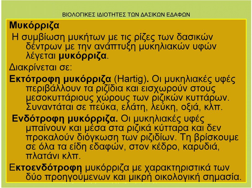 Οι μυκηλιακές υφές περιβάλλουν τα ριζίδια και εισχωρούν στους μεσοκυττάριους χώρους των ριζικών κυττάρων.