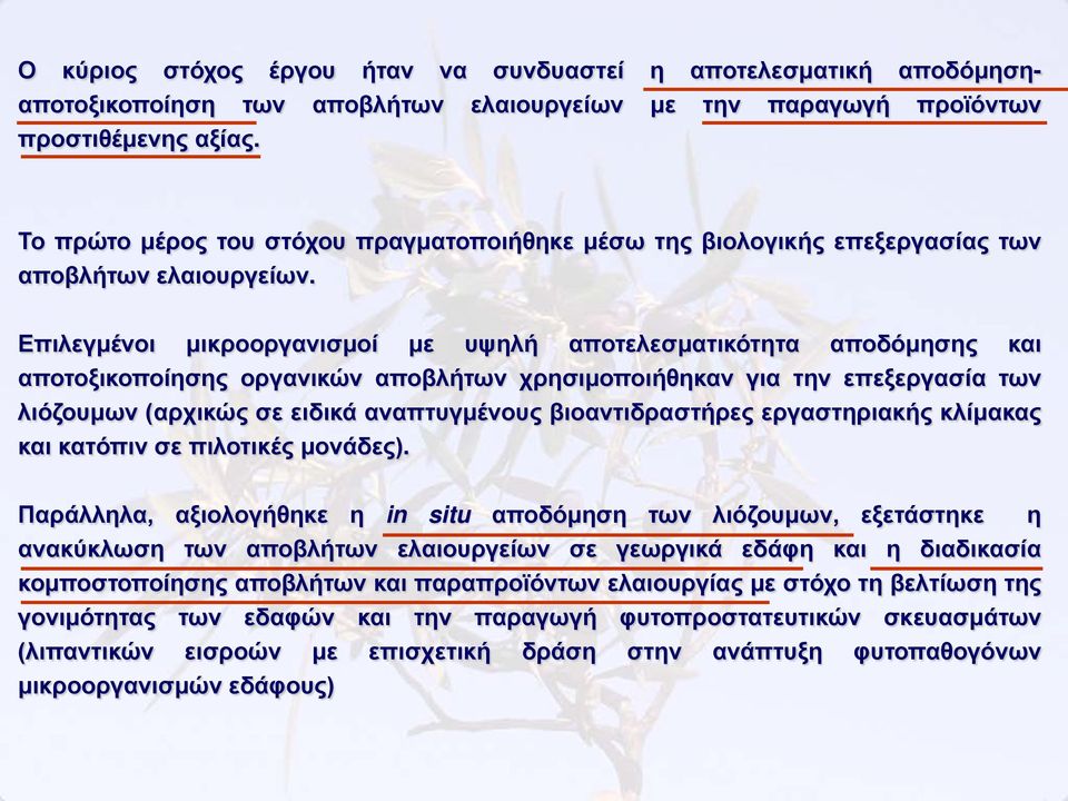 Επιλεγμένοι μικροοργανισμοί με υψηλή αποτελεσματικότητα αποδόμησης και αποτοξικοποίησης οργανικών αποβλήτων χρησιμοποιήθηκαν για την επεξεργασία των λιόζουμων (αρχικώς σε ειδικά αναπτυγμένους