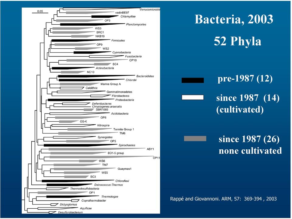 since 1987 (26) none cultivated