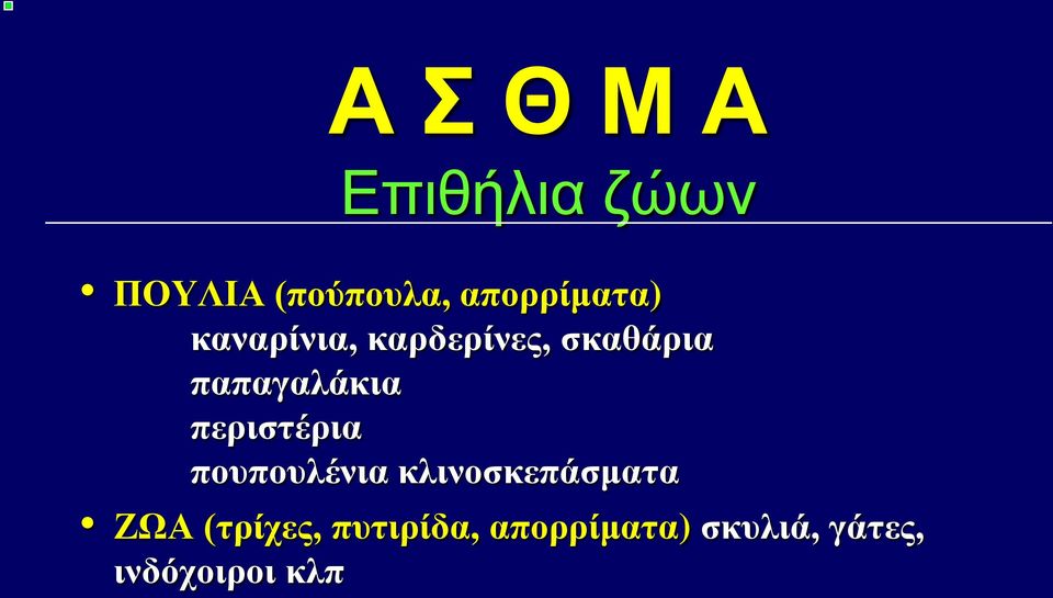 παπαγαλάκια περιστέρια πουπουλένια κλινοσκεπάσματα