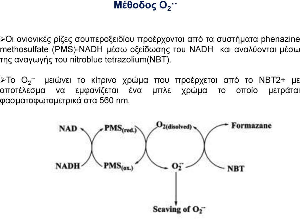 nitroblue tetrazolium(nbt).