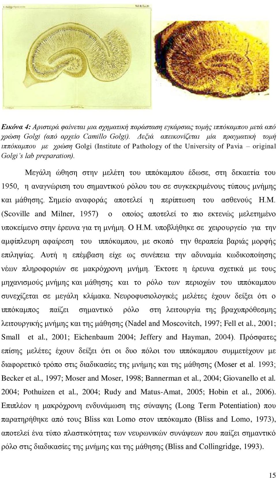 Μεγάλη ώθηση στην μελέτη του ιππόκαμπου έδωσε, στη δεκαετία του 1950, η αναγνώριση του σημαντικού ρόλου του σε συγκεκριμένους τύπους μνήμης και μάθησης.