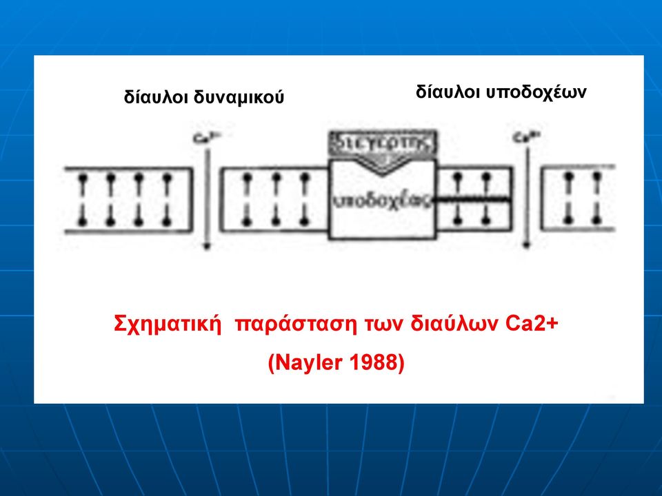 Σχηµατική παράσταση