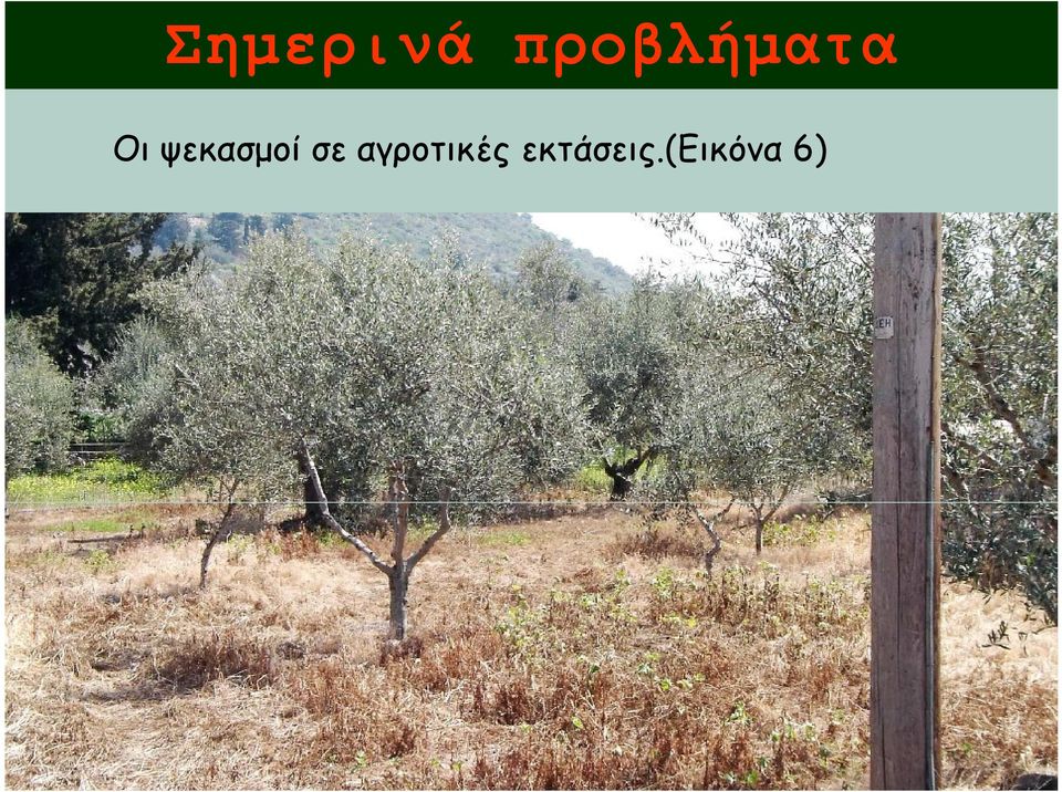 ψεκασμοί σε