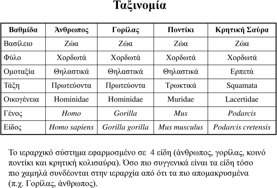 Podarcis Είδος Homo sapiens Gorilla gorilla Mus musculus Podarcis cretensis Το ιεραρχικό σύστημα εφαρμοσμένο σε 4 είδη (άνθρωπος, γορίλας, κοινό