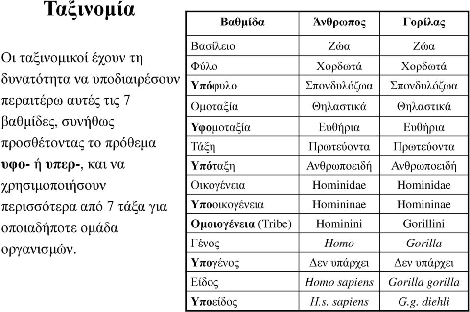 Βαθμίδα Άνθρωπος Γορίλας Βασίλειο Ζώα Ζώα Φύλο Χορδωτά Χορδωτά Υπόφυλο Σπονδυλόζωα Σπονδυλόζωα Ομοταξία Θηλαστικά Θηλαστικά Υφομοταξία Ευθήρια Ευθήρια Τάξη