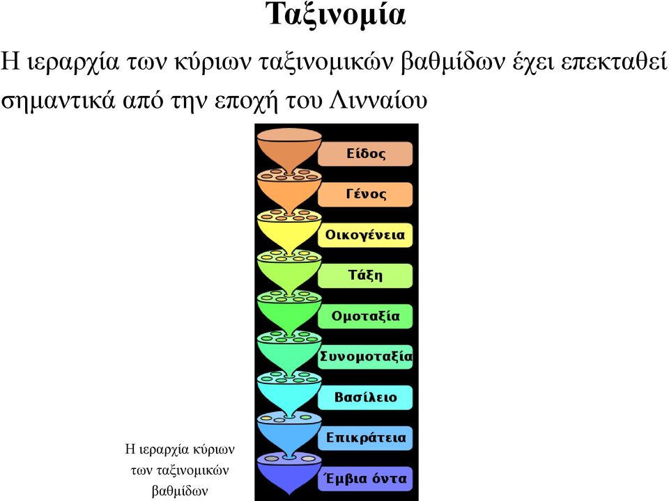 σημαντικά από την εποχή του Λινναίου