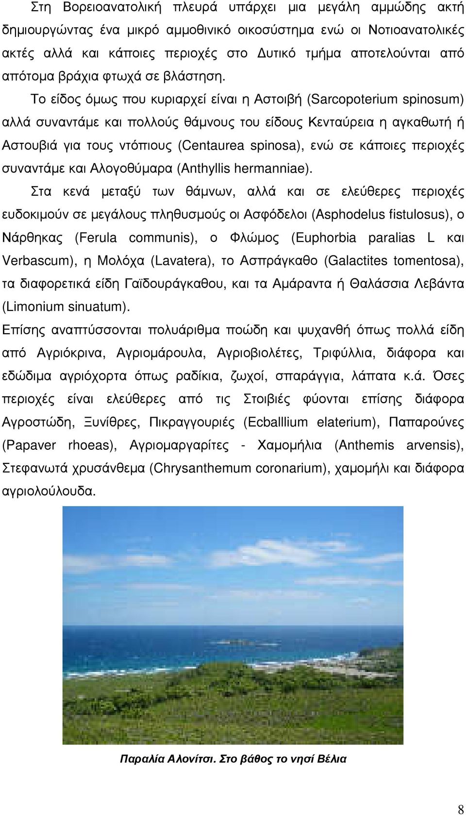 Το είδος όµως που κυριαρχεί είναι η Αστοιβή (Sarcopoterium spinosum) αλλά συναντάµε και πολλούς θάµνους του είδους Κενταύρεια η αγκαθωτή ή Αστουβιά για τους ντόπιους (Centaurea spinosa), ενώ σε