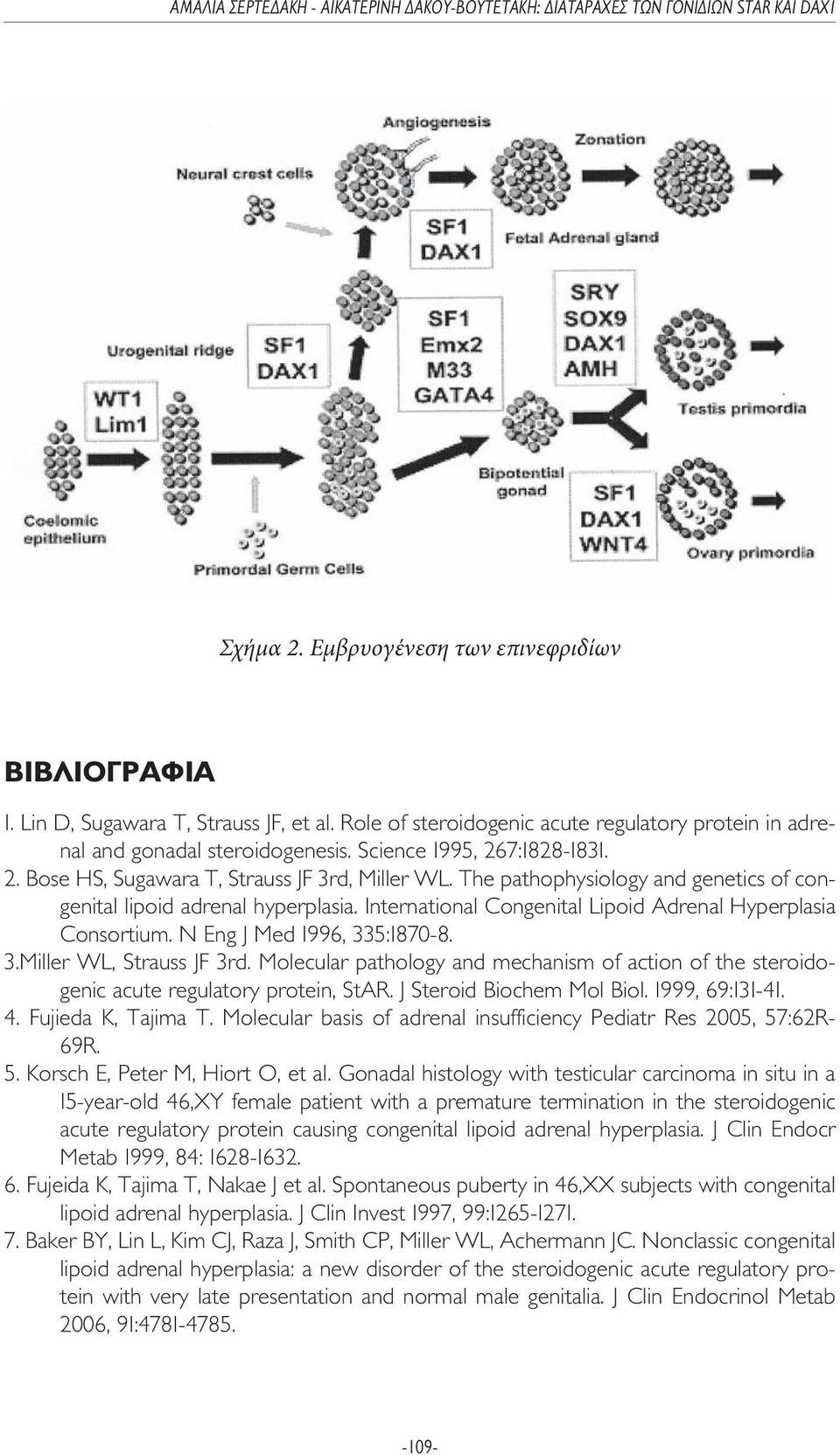 International Congenital Lipoid Adrenal Hyperplasia Consortium. N Eng J Med 1996, 335:1870-8. 3.Miller WL, Strauss JF 3rd.