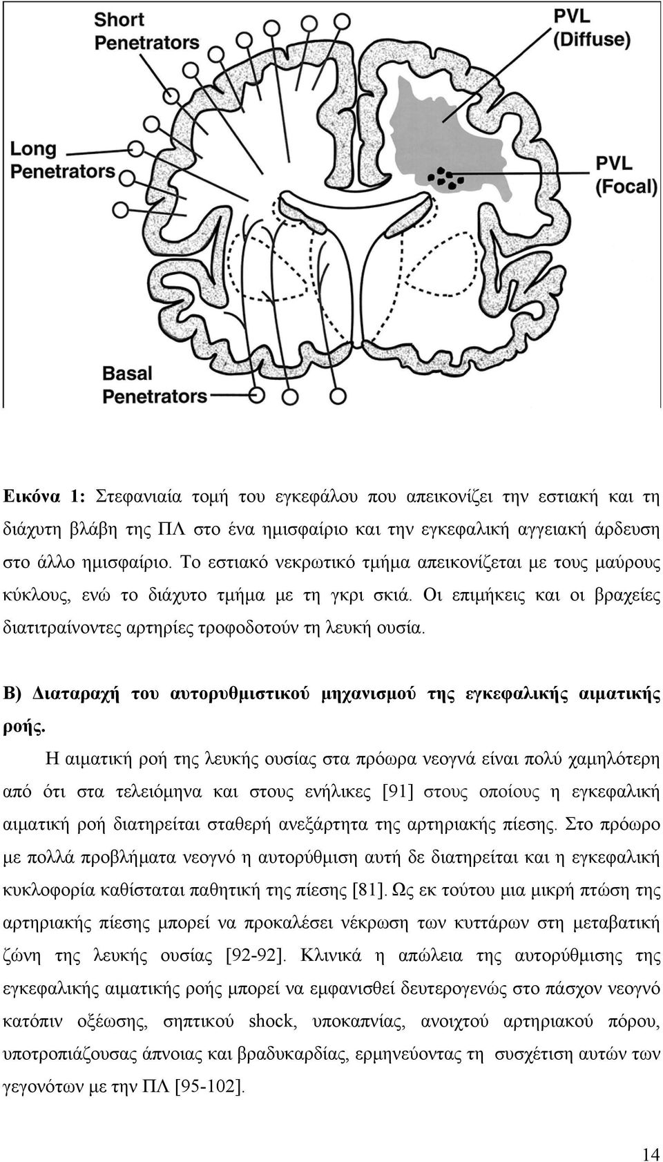 Β) Διαταραχή του αυτορυθμιστικού μηχανισμού της εγκεφαλικής αιματικής ροής.