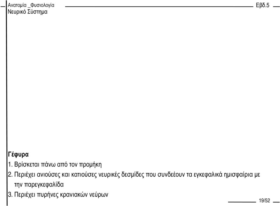 δεσµίδες που συνδεέουν τα εγκεφαλικά ηµισφαίρια