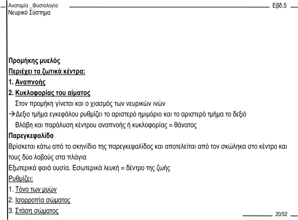 αριστερό τµήµα το δεξιό Βλάβη και παράλυση κέντρου αναπνοής ή κυκλοφορίας = θάνατος Παρεγκεφαλίδα Βρίσκεται κάτω από το σκηνίδιο της