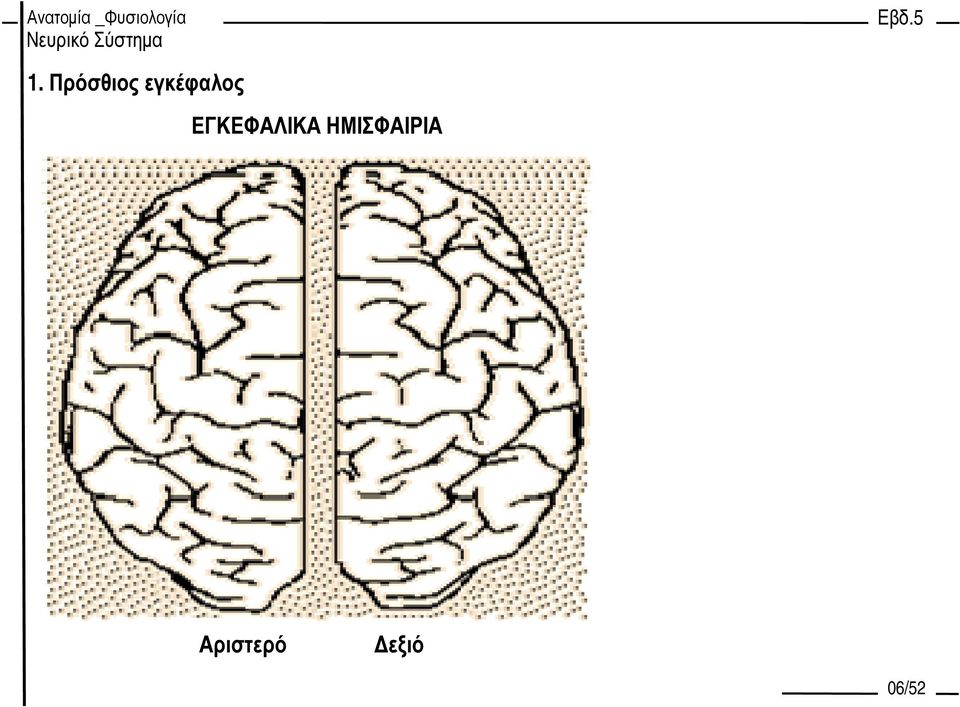 ΕΓΚΕΦΑΛΙΚΑ