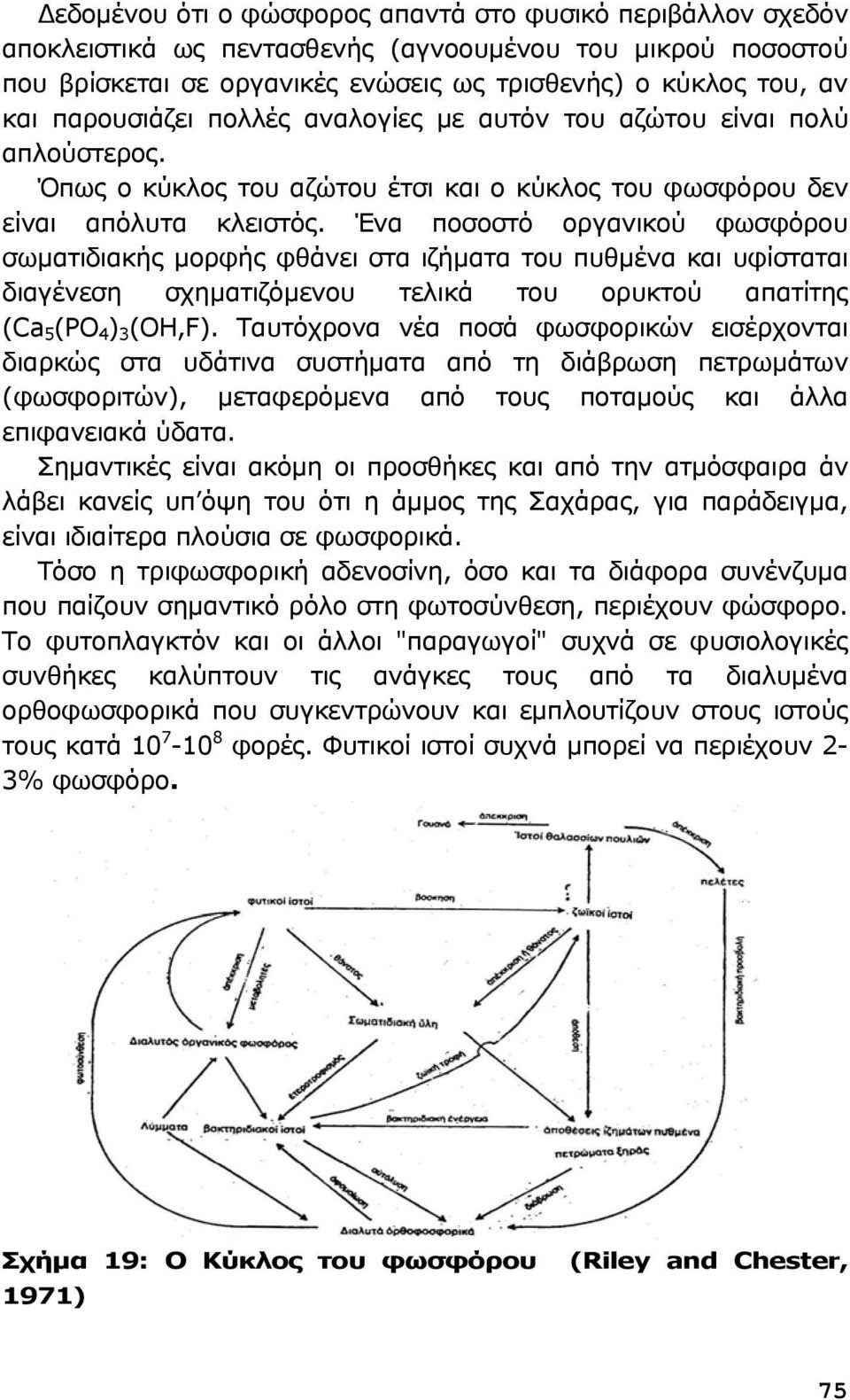 Ένα ποσοστό οργανικού φωσφόρου σωματιδιακής μορφής φθάνει στα ιζήματα του πυθμένα και υφίσταται διαγένεση σχηματιζόμενου τελικά του ορυκτού απατίτης (Ca 5 (PO 4 ) 3 (OH,F).