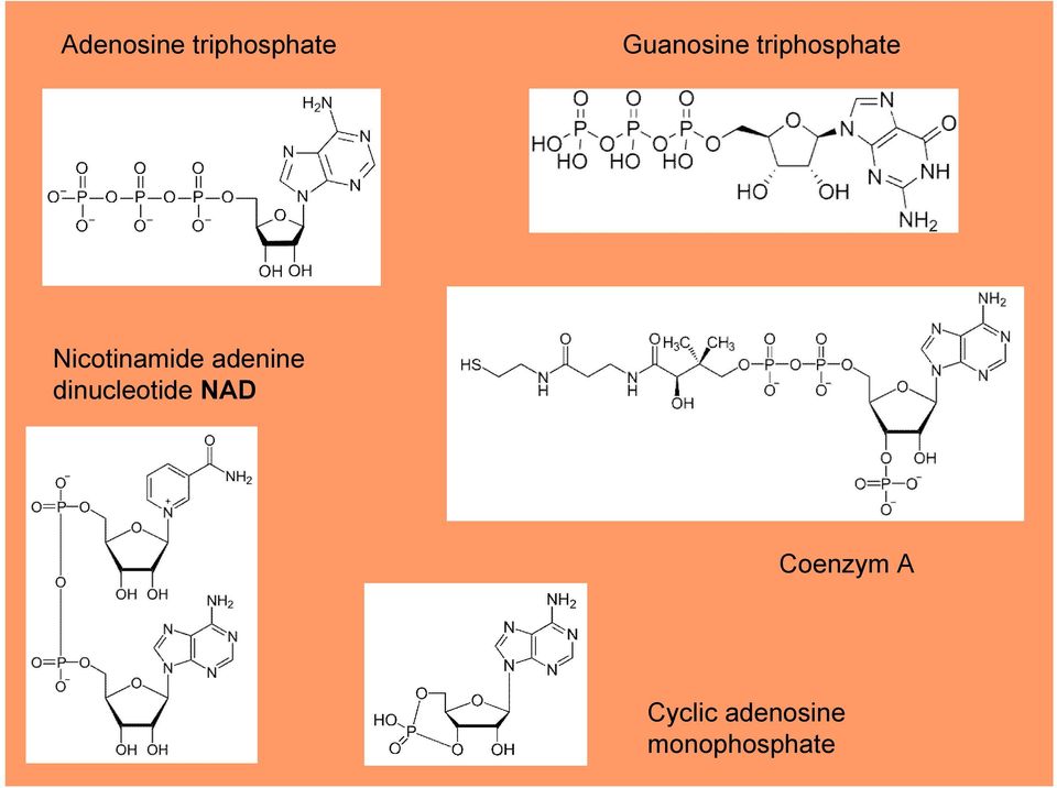 Nicotinamide adenine