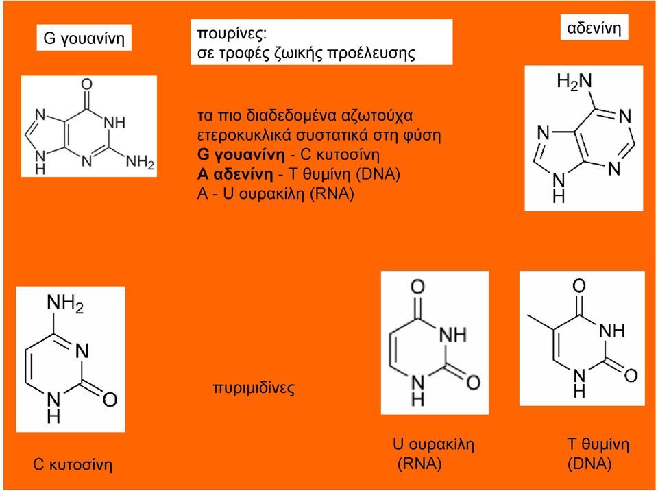 γουανίνη -Cκυτοσίνη Ααδενίνη - Τθυμίνη (DNA) A - U ουρακίλη
