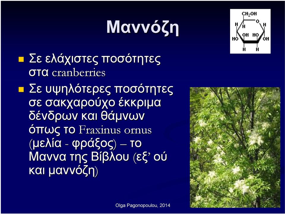 δένδρων και θάµνων όπως το Fraxinus ornus