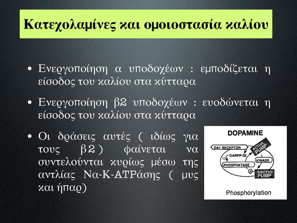 ευοδώνεται η είσοδος του καλίου στα κύτταρα Οι δράσεις αυτές ( ιδίως για