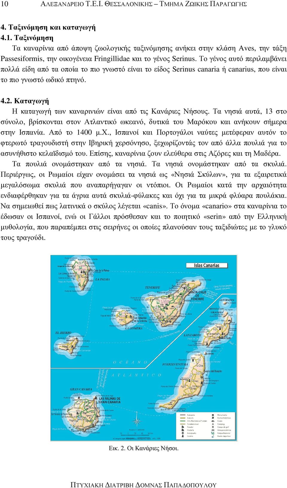 Καταγωγή Η καταγωγή των καναρινιών είναι από τις Κανάριες Νήσους. Τα νησιά αυτά, 13 στο σύνολο, βρίσκονται στον Ατλαντικό ωκεανό, δυτικά του Μαρόκου και ανήκουν σήµερα στην Ισπανία. Από το 1400 µ.χ.
