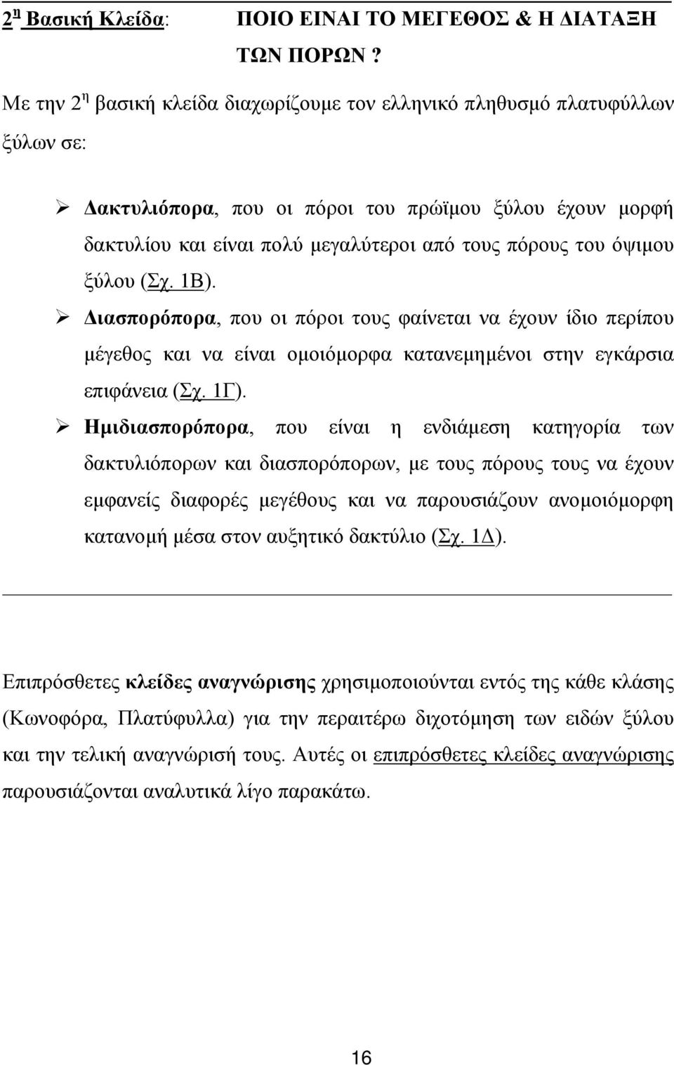 όψιµου ξύλου (Σχ. 1Β). ιασπορόπορα, που οι πόροι τους φαίνεται να έχουν ίδιο περίπου µέγεθος και να είναι οµοιόµορφα κατανεµηµένοι στην εγκάρσια επιφάνεια (Σχ. 1Γ).