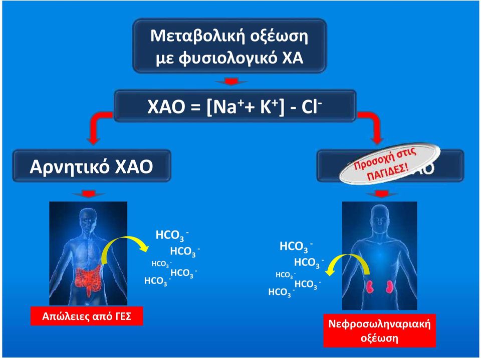 HCO 3 - HCO 3 - HCO 3 - HCO 3 - HCO 3 - HCO 3 - HCO