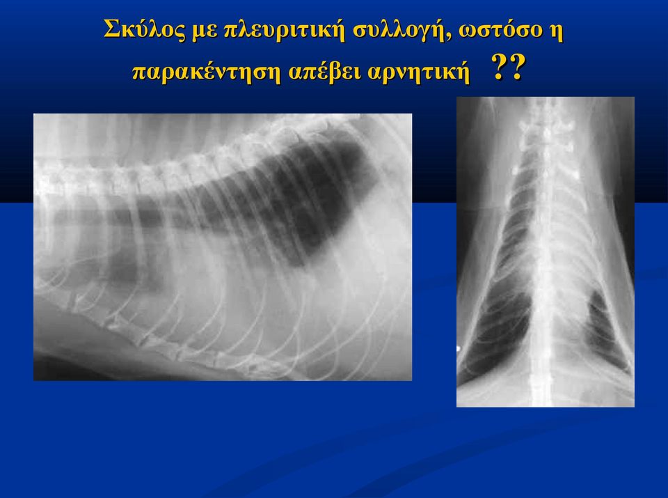 συλλογή, ωστόσο